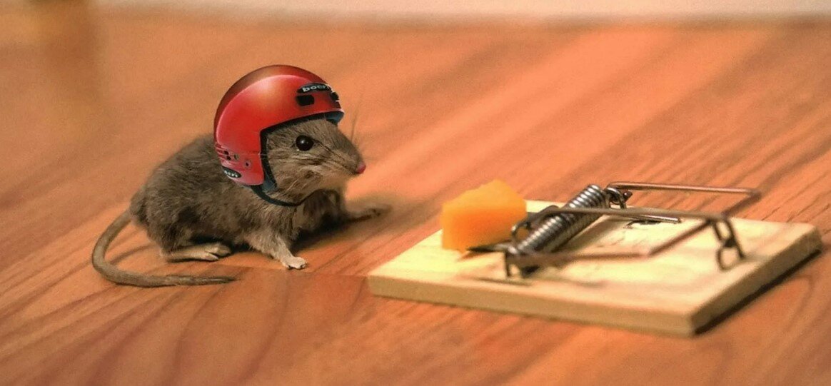 Фото с просторов интернета