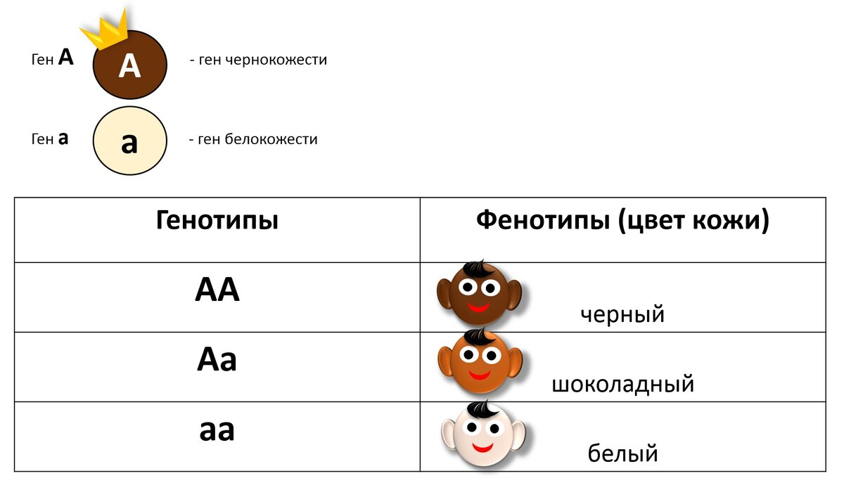 Может ли у русской девушки и русского парня родиться негритёнок? | Генетика  для всех | Дзен