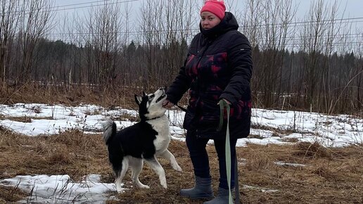 Неожиданная встреча на прогулке старого аксакала Пирата и юной красавицей привела его а ступор. А у Альфы вызвали восторг утки и река