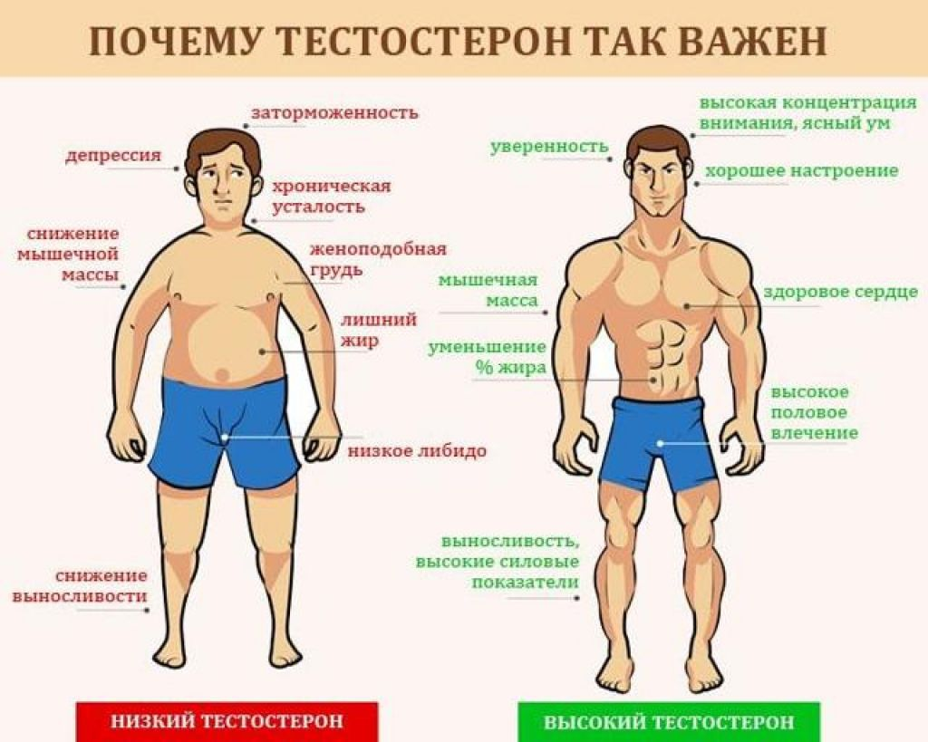 Гиперандрогения (переизбыток мужских гормонов в организме женщины)