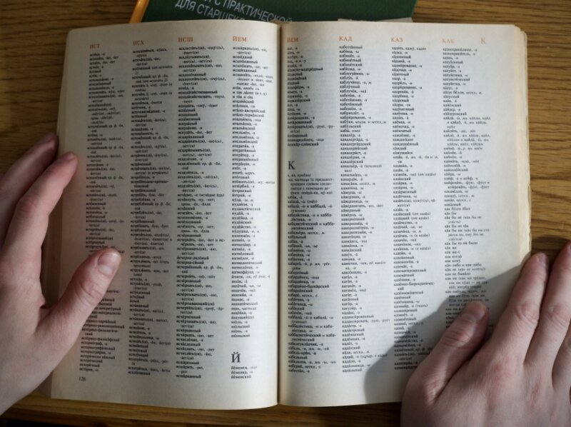 Словарь. Дарья Ильина © REX 