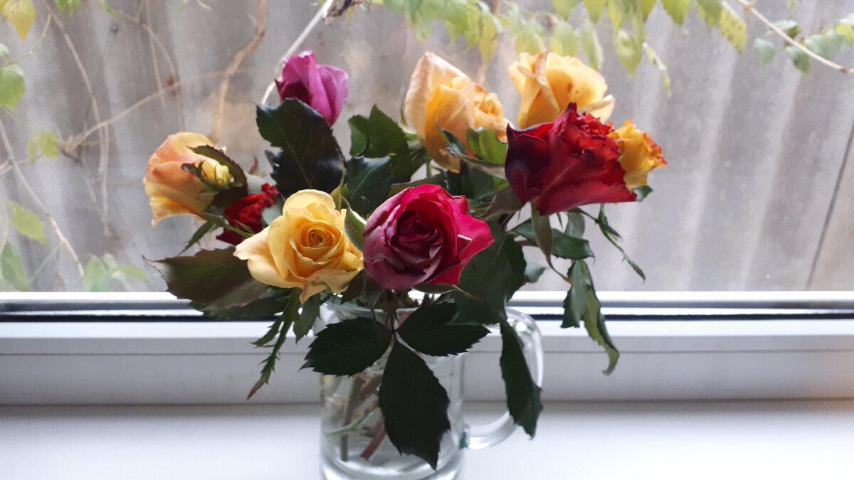 из личного архива