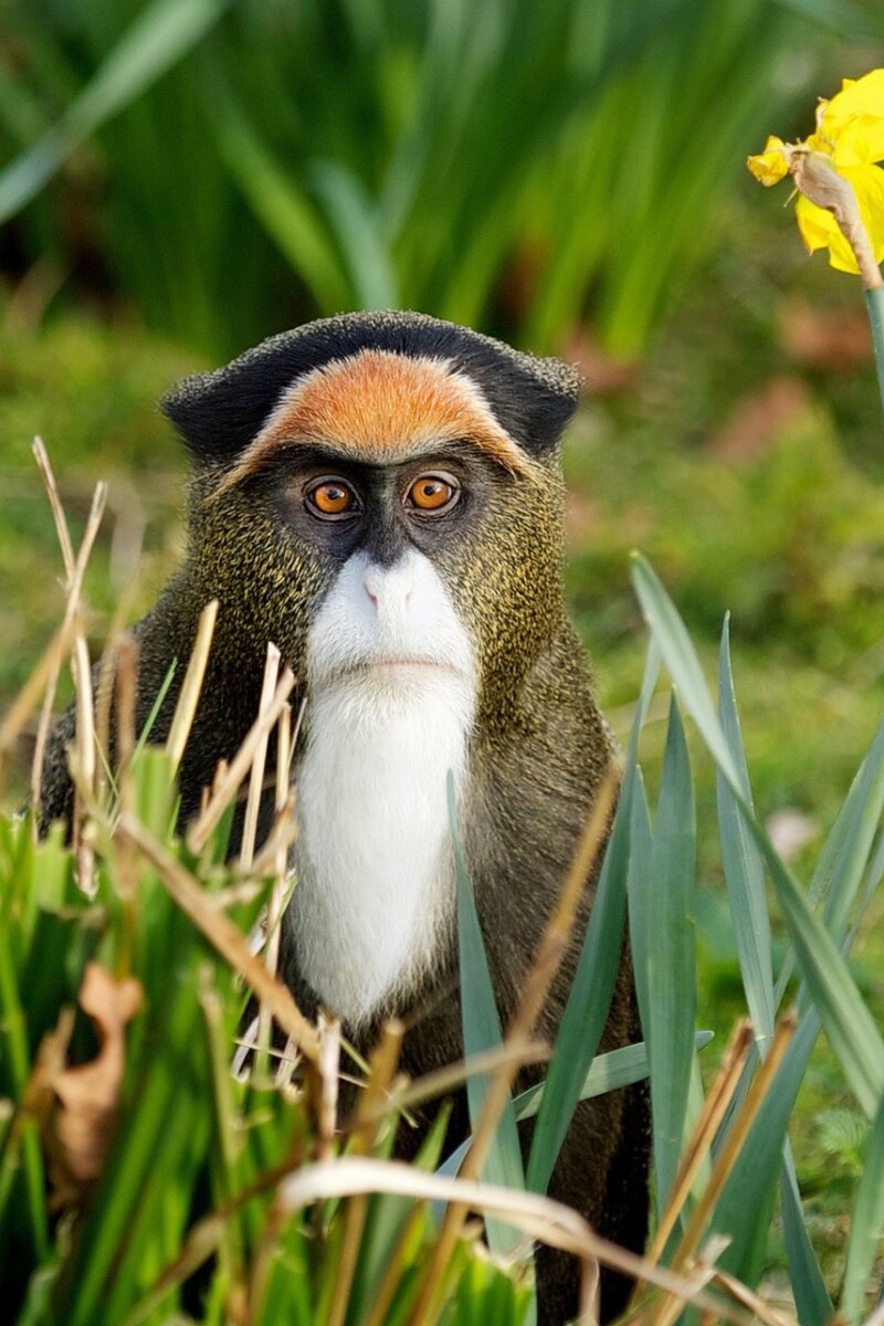 Когда рассказал друзьям, что научился медитировать и не расслабился