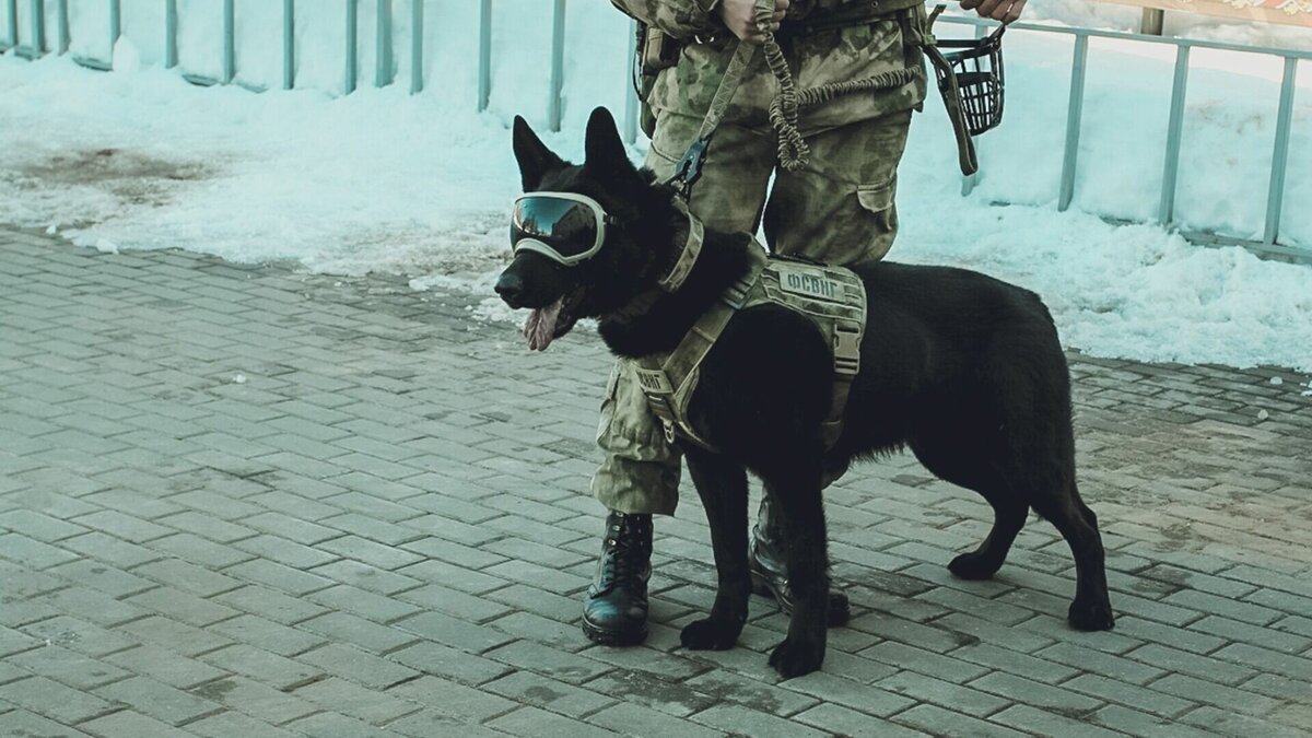     Потенциально опасную находку сделал житель Мечетлинского района в собственном огороде.