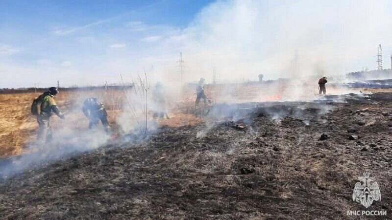    Крупный ландшафтный пожар тушат в эти минуты огнеборцы Ижевска в районе улицы Союзной. Там загорелась сухая трава. Сообщение об этом поступило на пульт пожарной охраны около 11:00.