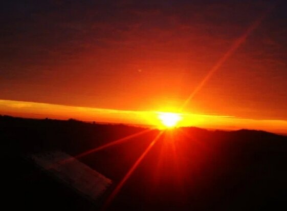 Фото из интернета