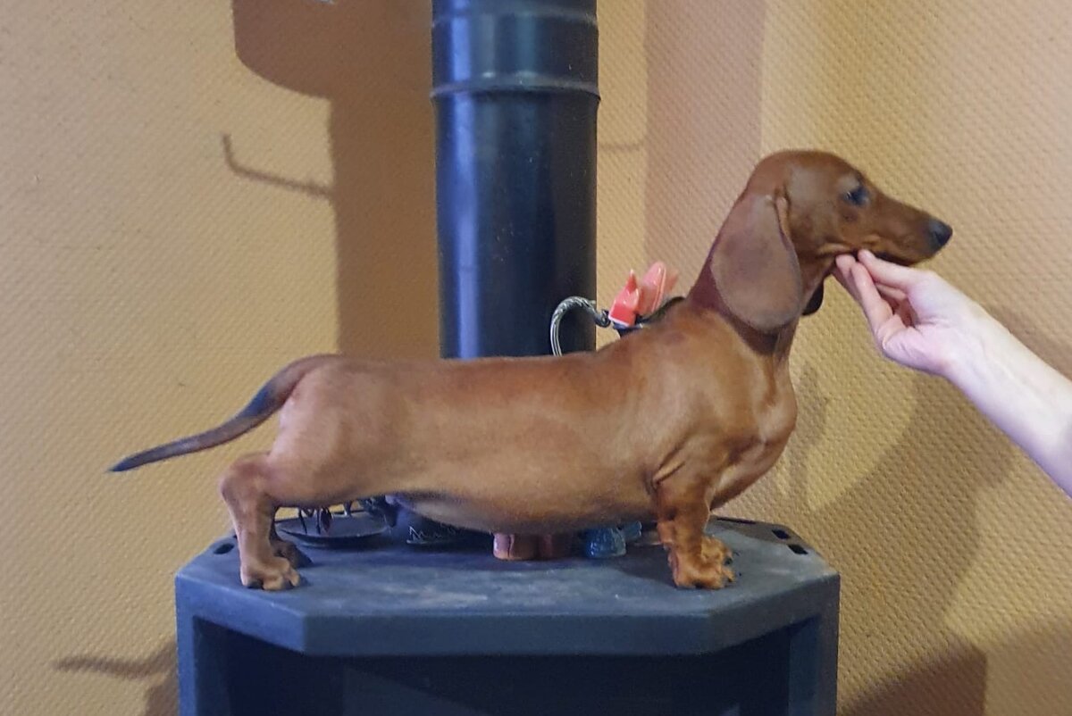 Грейт Каприз Российская Империя