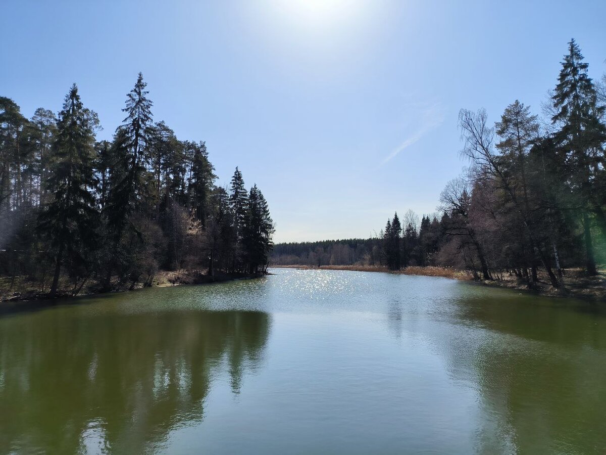 Решетников пруд - одно из любимых мест прогулок и отдыха в Одинцово. Фото автора.