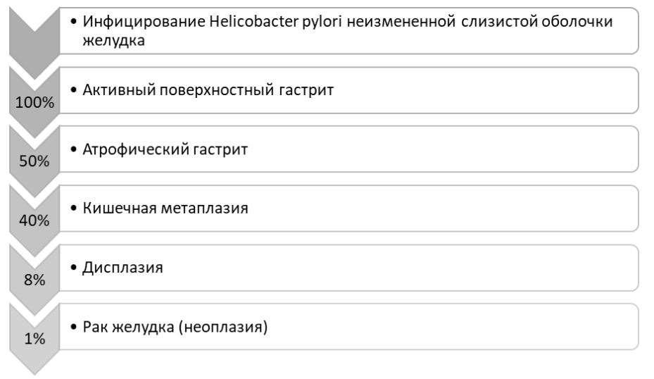 Современные схемы эрадикационной терапии инфекции Helicobacter pylori