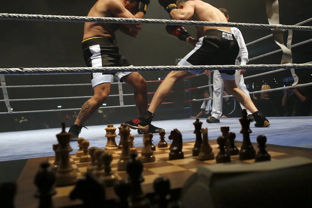 Шахбокс вид спорта. Шахбокс. Шахматы и бокс. Шахматы и бокс вид спорта.