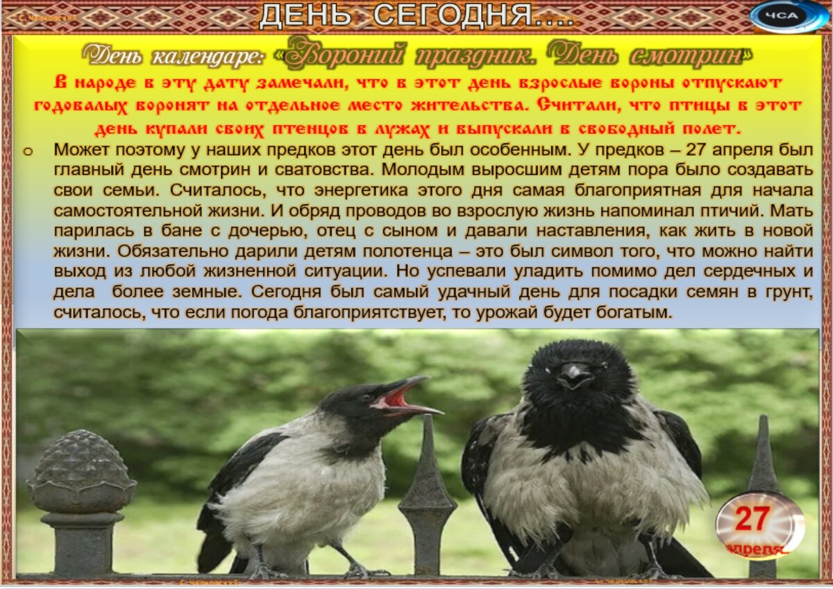 Встречаем новый день