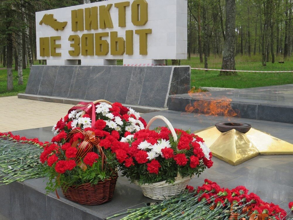 Фотография: www.adm44.ru