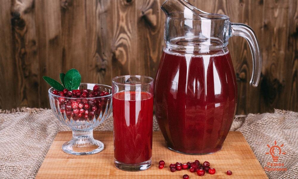 Морс дачный от Яндекса.