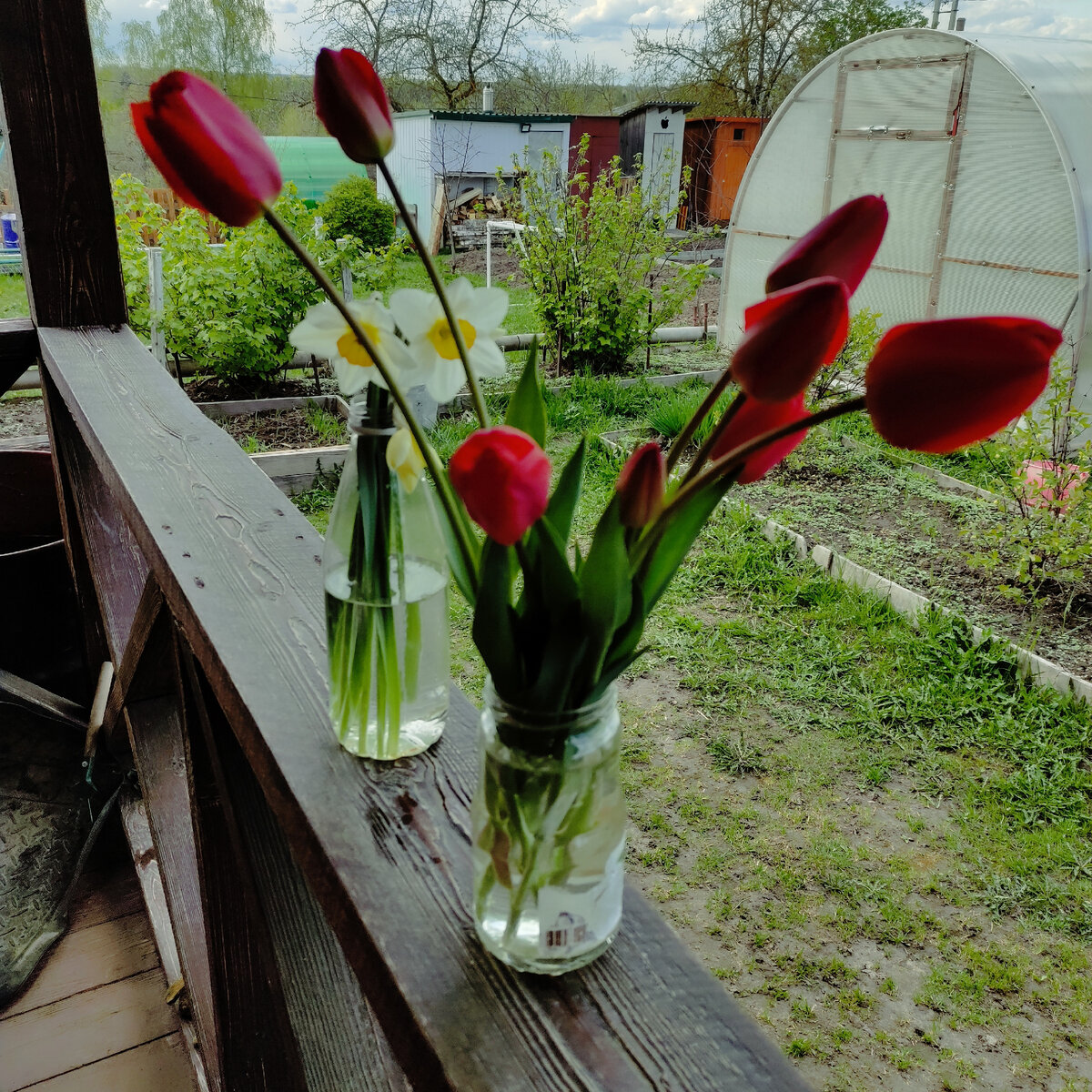 Цветы с нашего огорода для "Вечного огня"