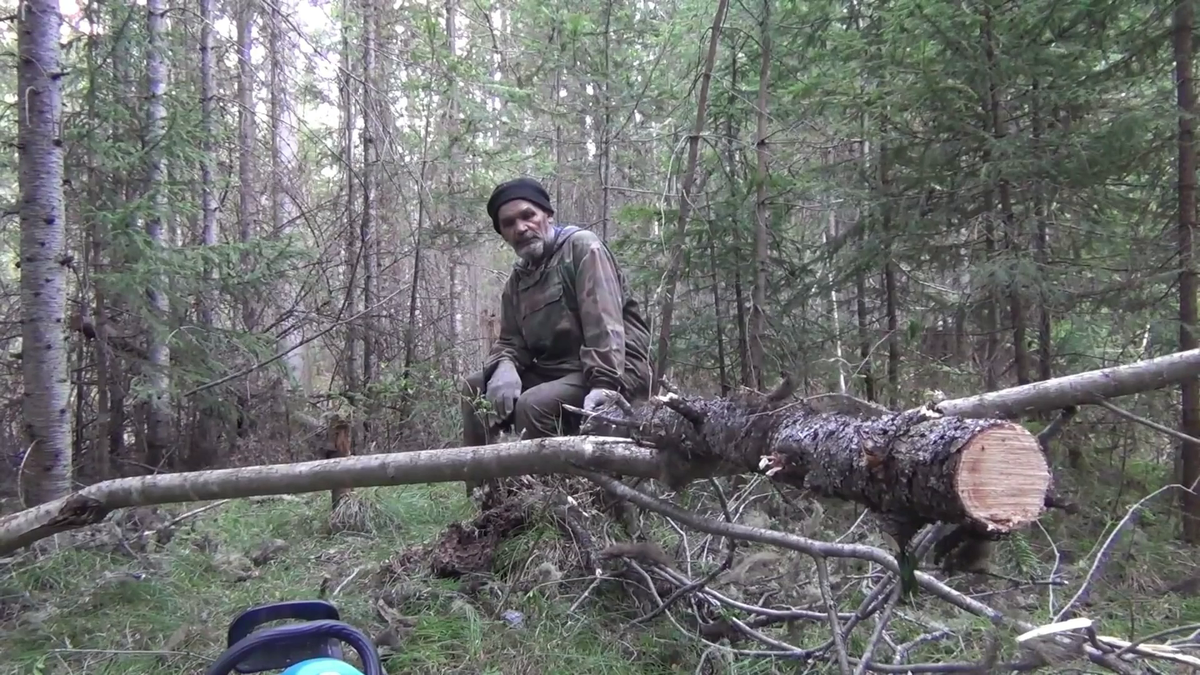 Продолжаем трудится в тайге. Заготовка дров на ночь. Работаем вдвоем Федорович подает, а я пилю.  - (смотрите на видео внизу статьи)
