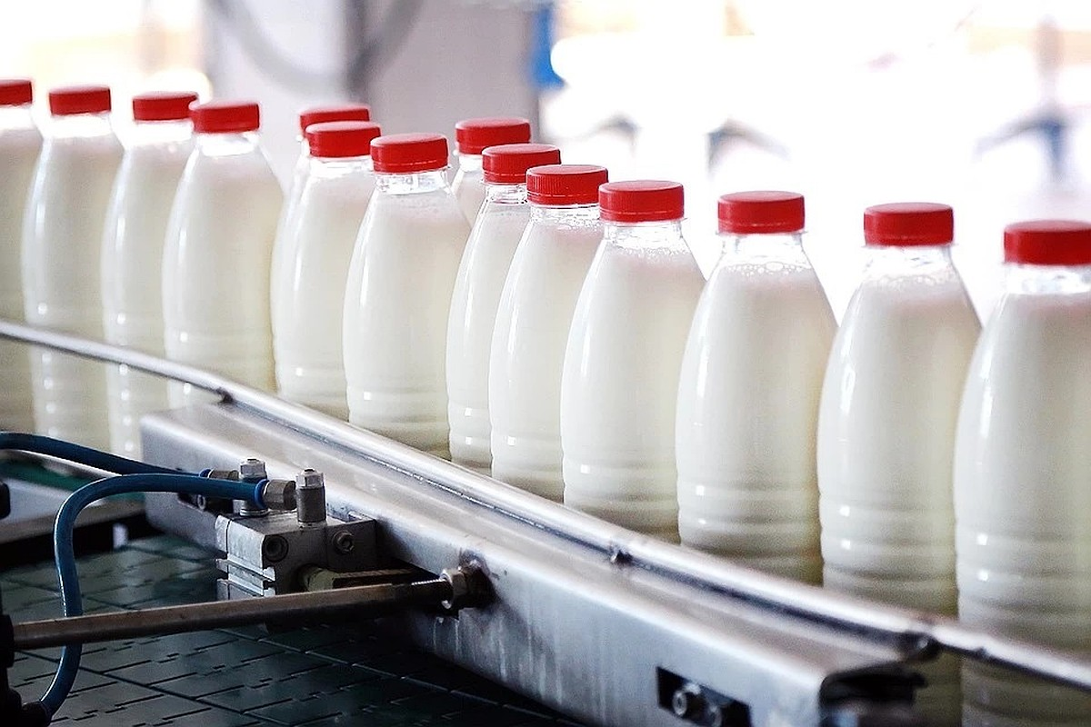 Производители молока. Производители молочных продуктов. Молоко производители. Производство молока