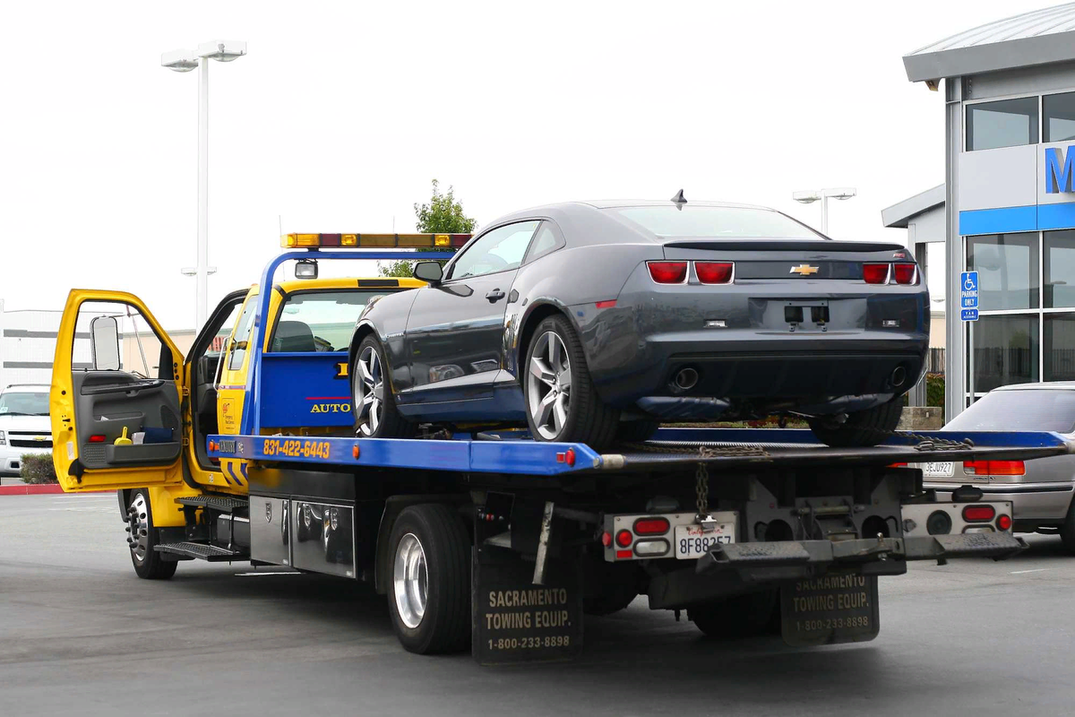 Фото: horse-h.ru