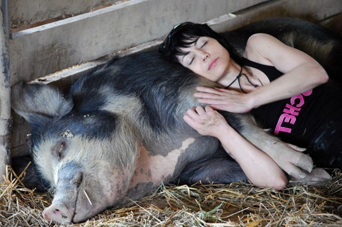 Девушка и свинья. Фото из Яндекс картинки