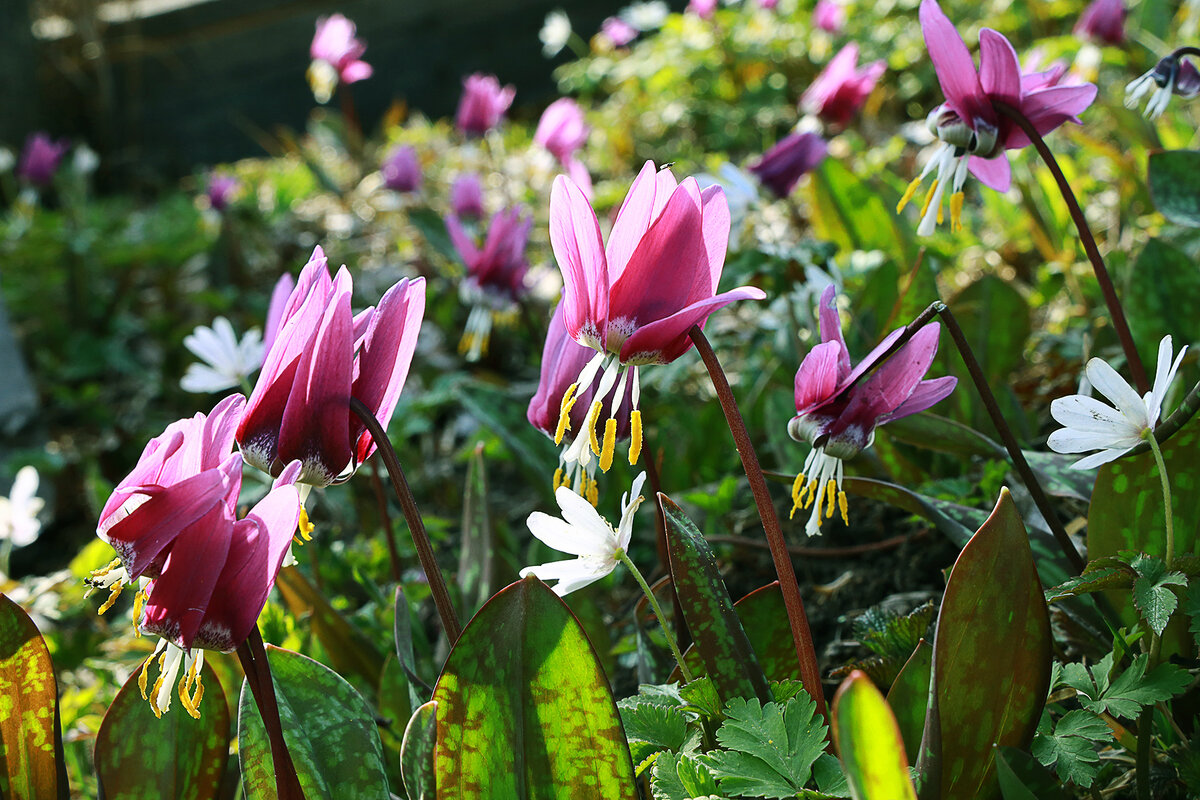 Автор фото - Александр Лотов
