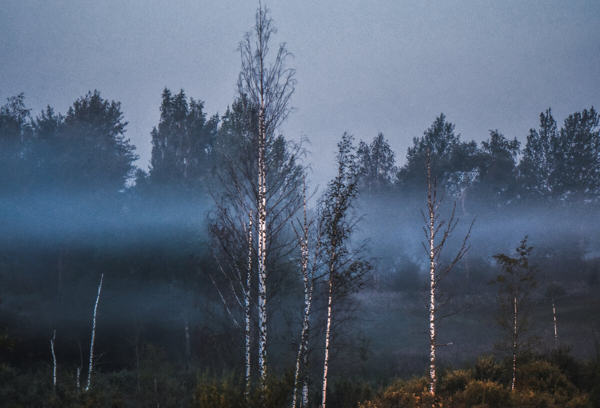 📍 Приятно осознавать, что лес живой. Лес ведь это не только деревья и трава, это ещё и многочисленные звери, которые в нем живут. И каждый раз, когда происходит встреча с ними, сердце согревается 🥰