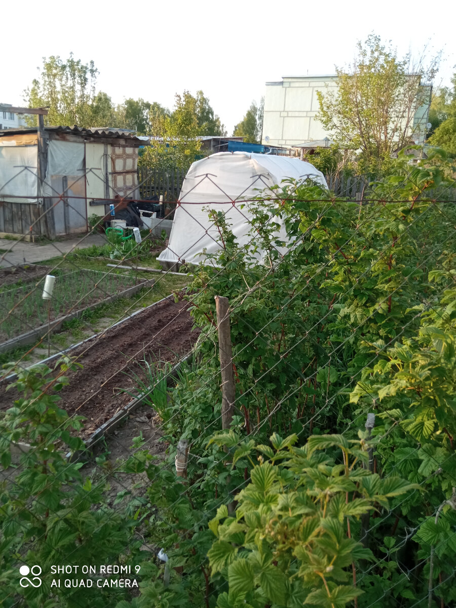 Шутки дачные - удачные, Огородные - хороводные. | Творческий калейдоскоп |  Дзен