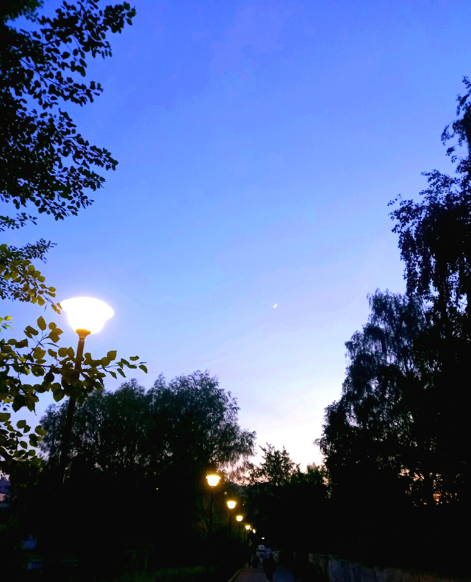 И снова ночь.