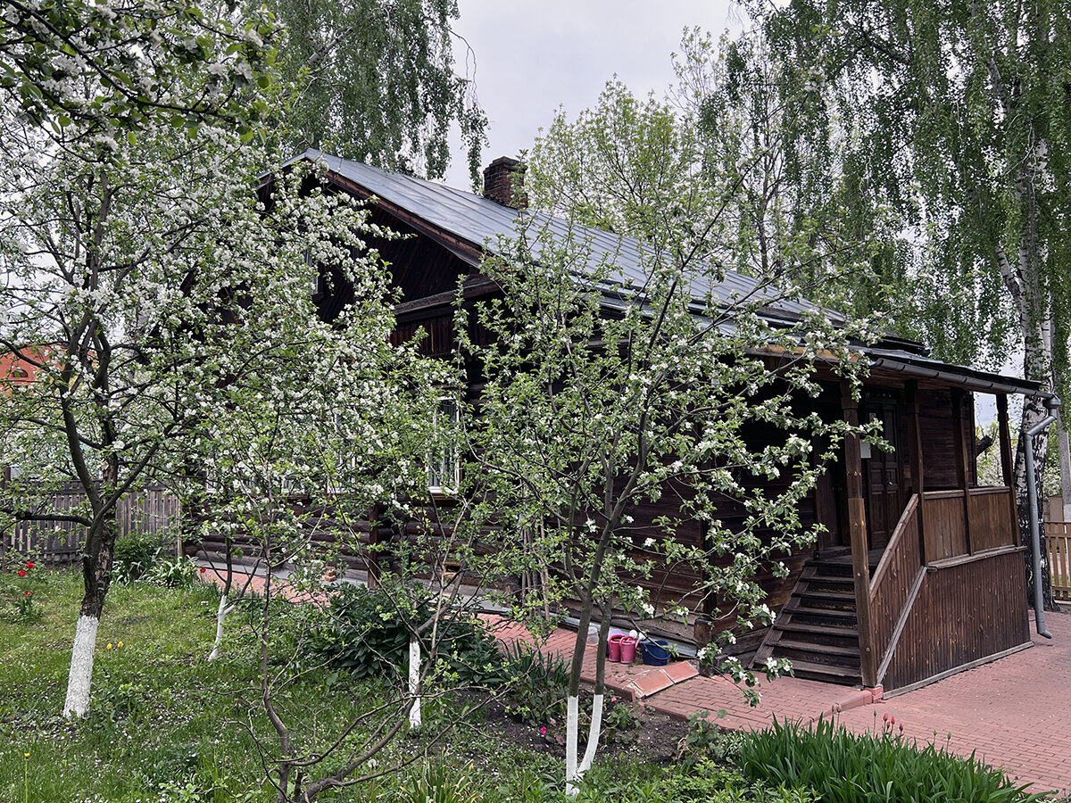 Яблони в саду музея Тарковского в Юрьевце. Фото автора. Листайте галерею, чтобы увидеть больше