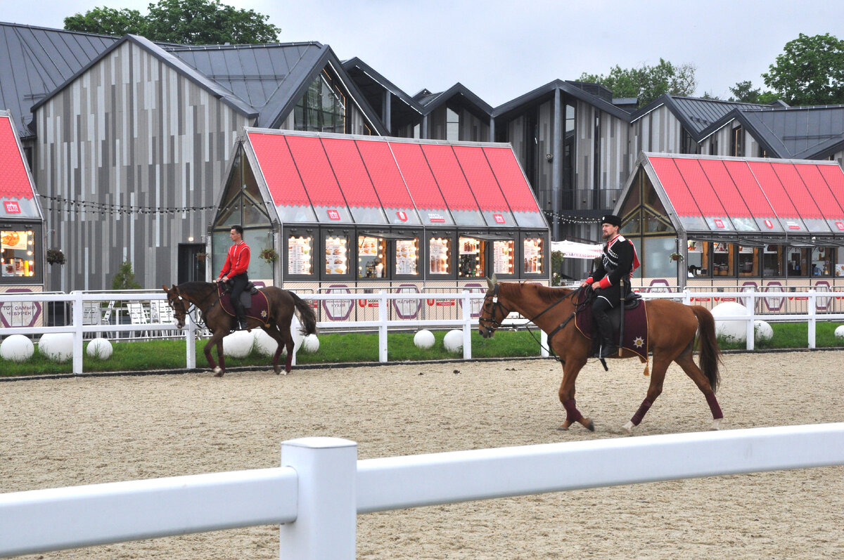 книжный фестиваль красная площадь. прическа на соревнования по конному спорту. выступление конных наездников вднх. московские фестивали. кружок для лошадей.