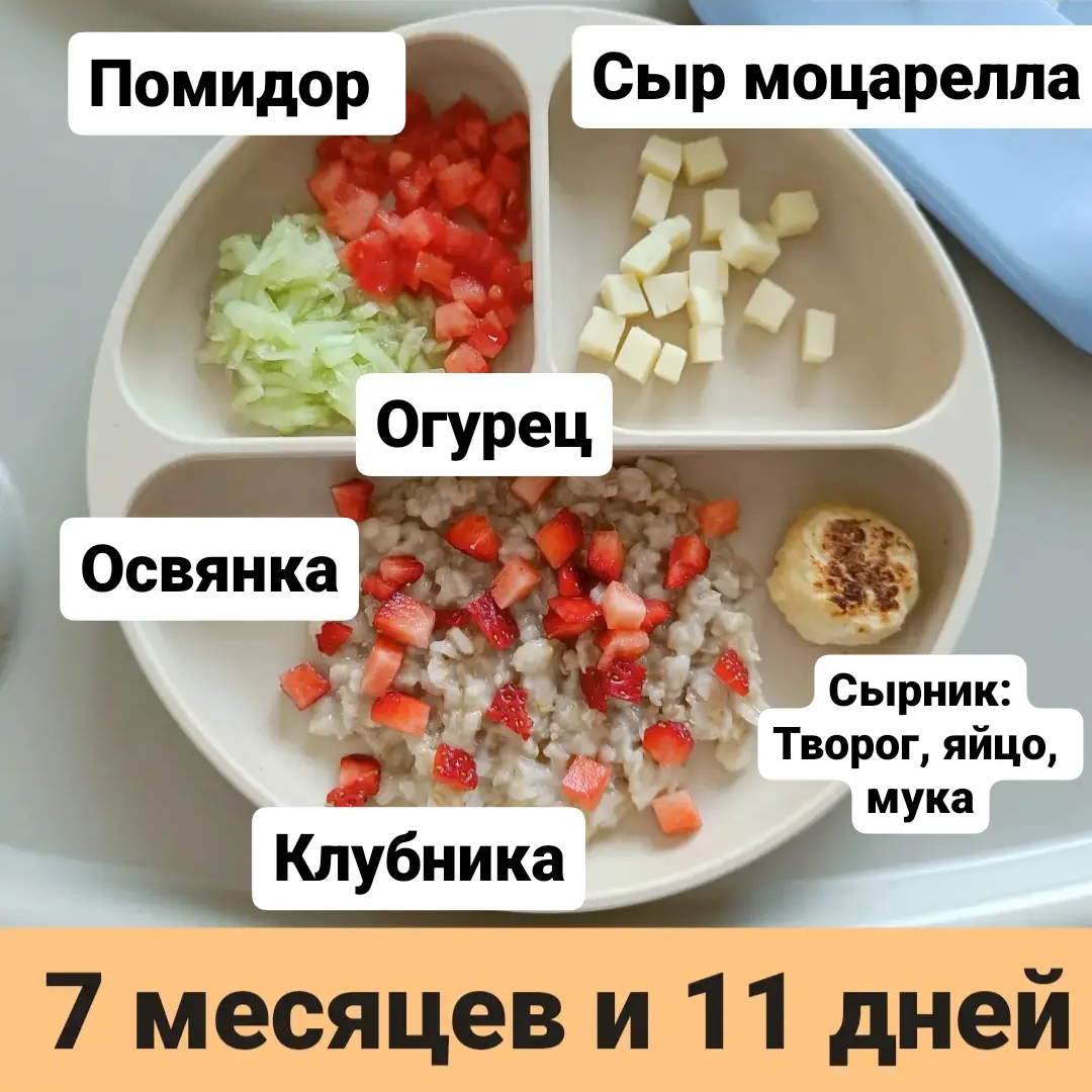 5 дней каш 7 дней яблок