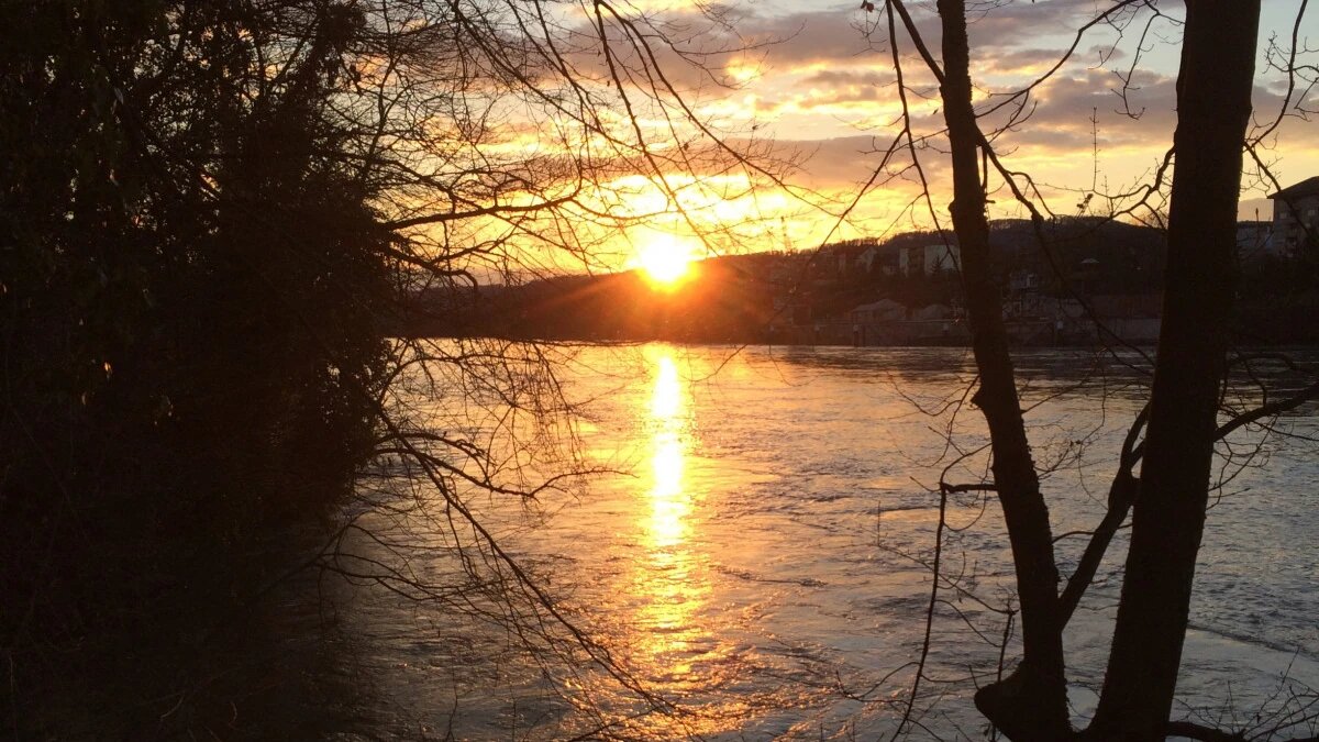 Фото: pxhere.com