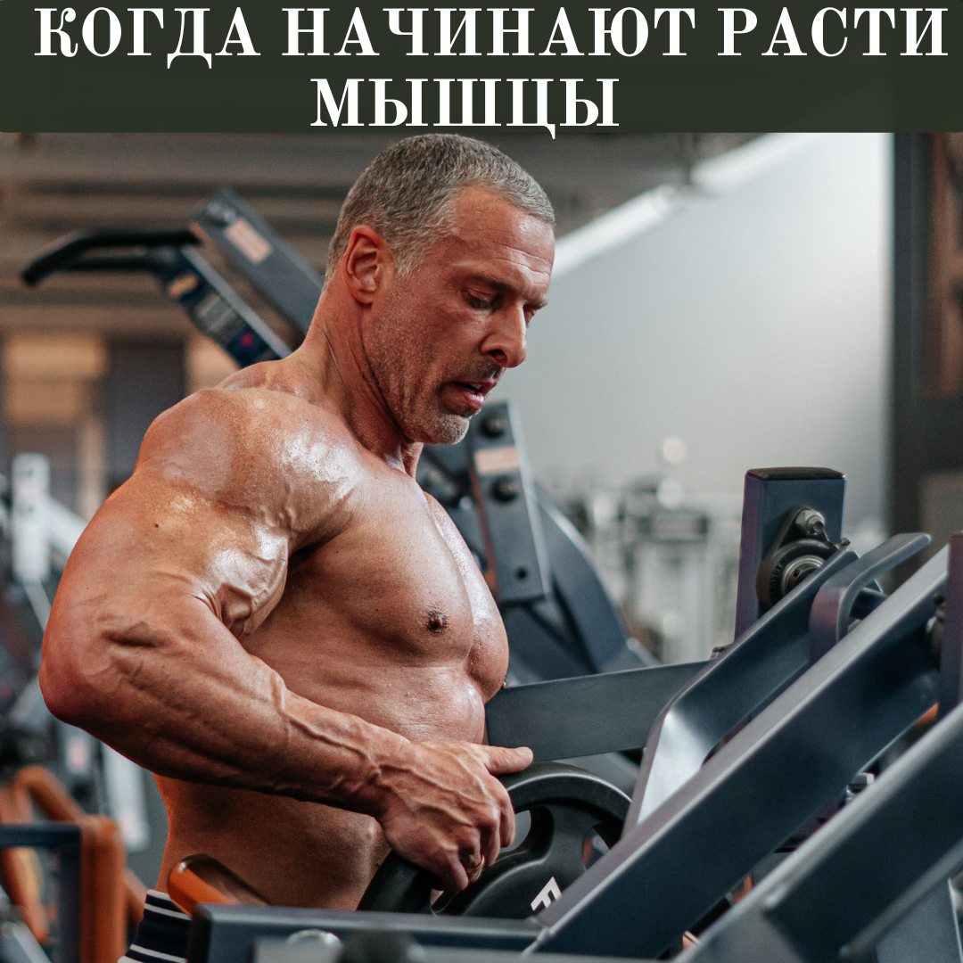Бодибилдер Станислав Линдовер