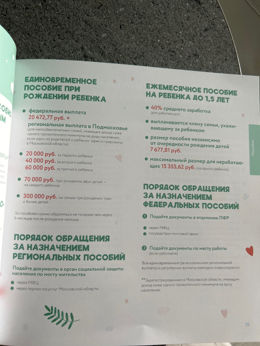 ГОСУДАРСТВЕННЫЕ СЕРВИСЫ В РОДДОМЕ. И про положенные выплаты | Елена Мунтян  | Дзен