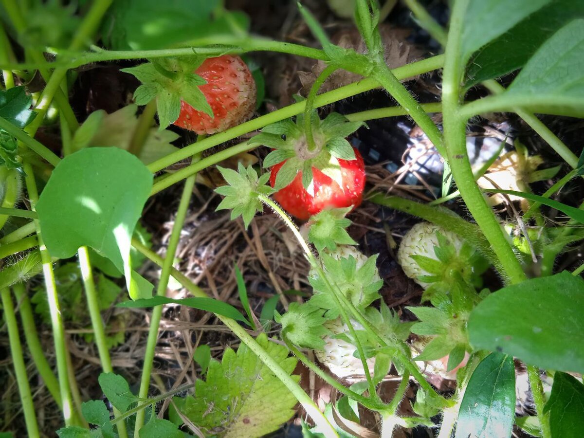 От нас не спрячешься.