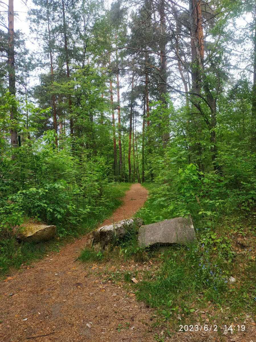 окрестности Медного