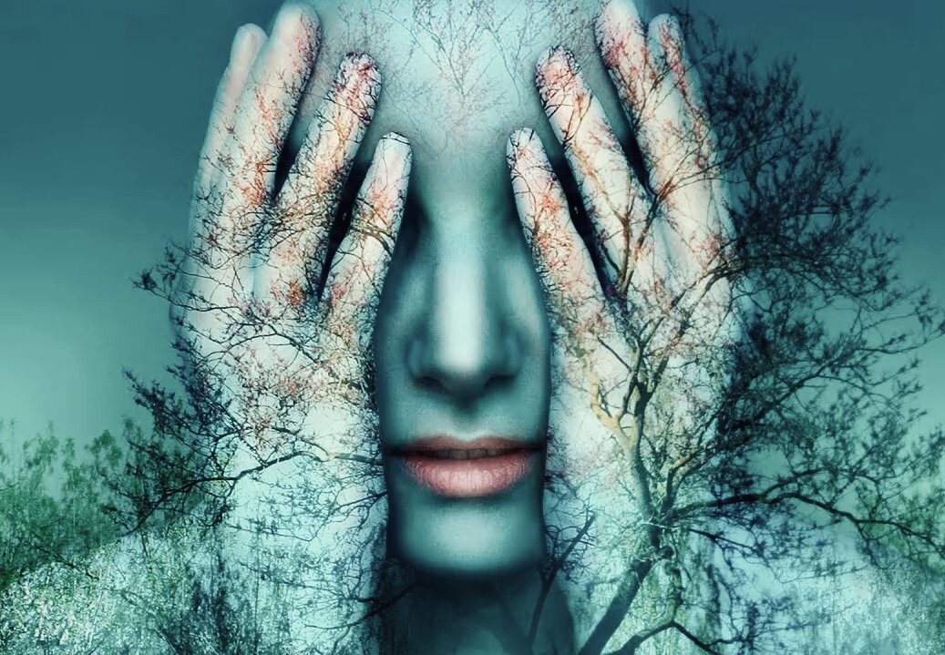 Жизнь в страхе - деревянная. Ты ешь, пьёшь и стоишь на месте. Страшно сказать своё мнение, страшно смотреть на будущее, страшно за детей. Жизнь в агрессии - животная. Беги, или тебя поймают. Лови, пока успеваешь догнать. Оба эти чувства, страх и агрессия, достались нам от мира природы. Они - ресурс для нашего роста. Изображение из просторов интернета