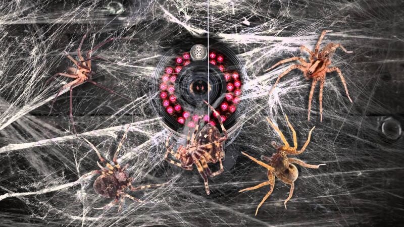 .Фото: i.ytimg.com.