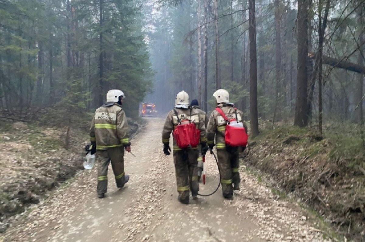    В Свердловской области с природными пожарами борются 900 специалистов