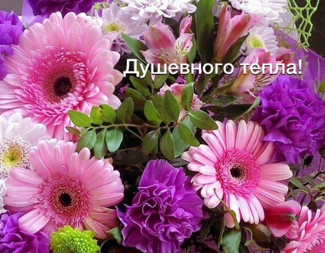 КАЖДОМУ ПОДПИСЧИКУ.