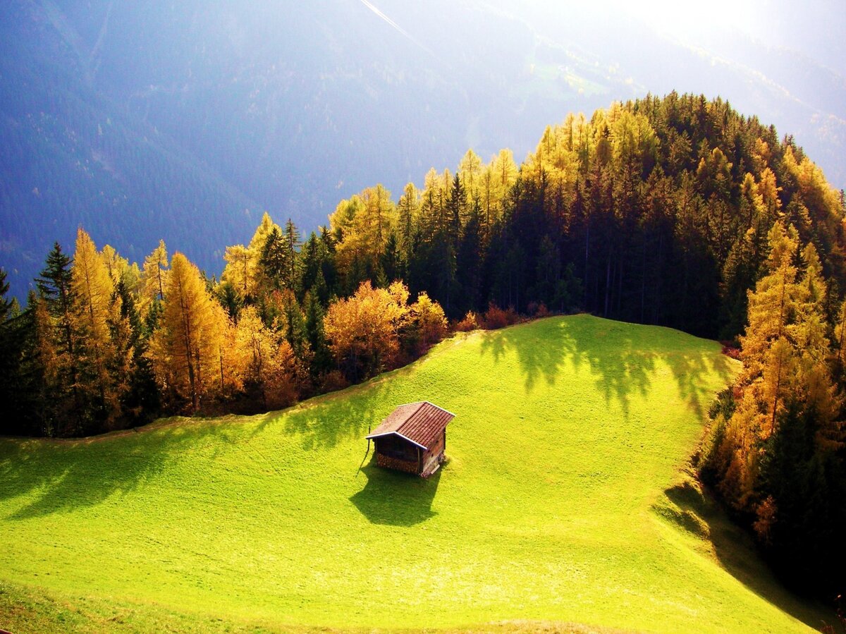 Фото по запросу Домик лесу