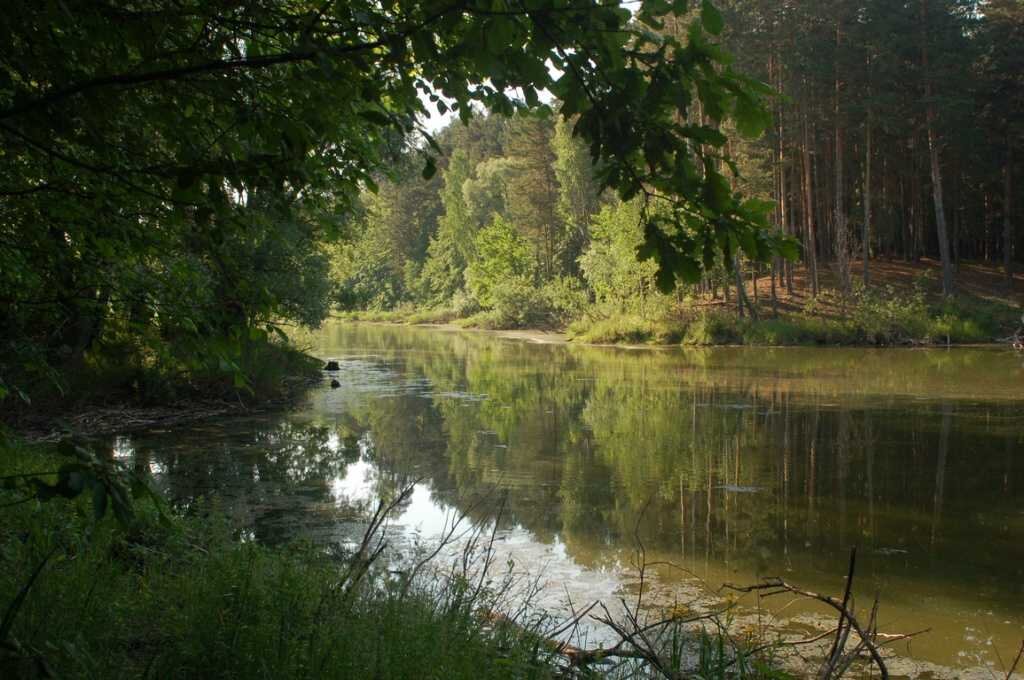 волжско-камский заповедник презентация. волжско камский биосферный заповедник. сообщение о волжско камском заповеднике. символ волжско камского заповедника. сараловский участок волжско-камский заповедник.