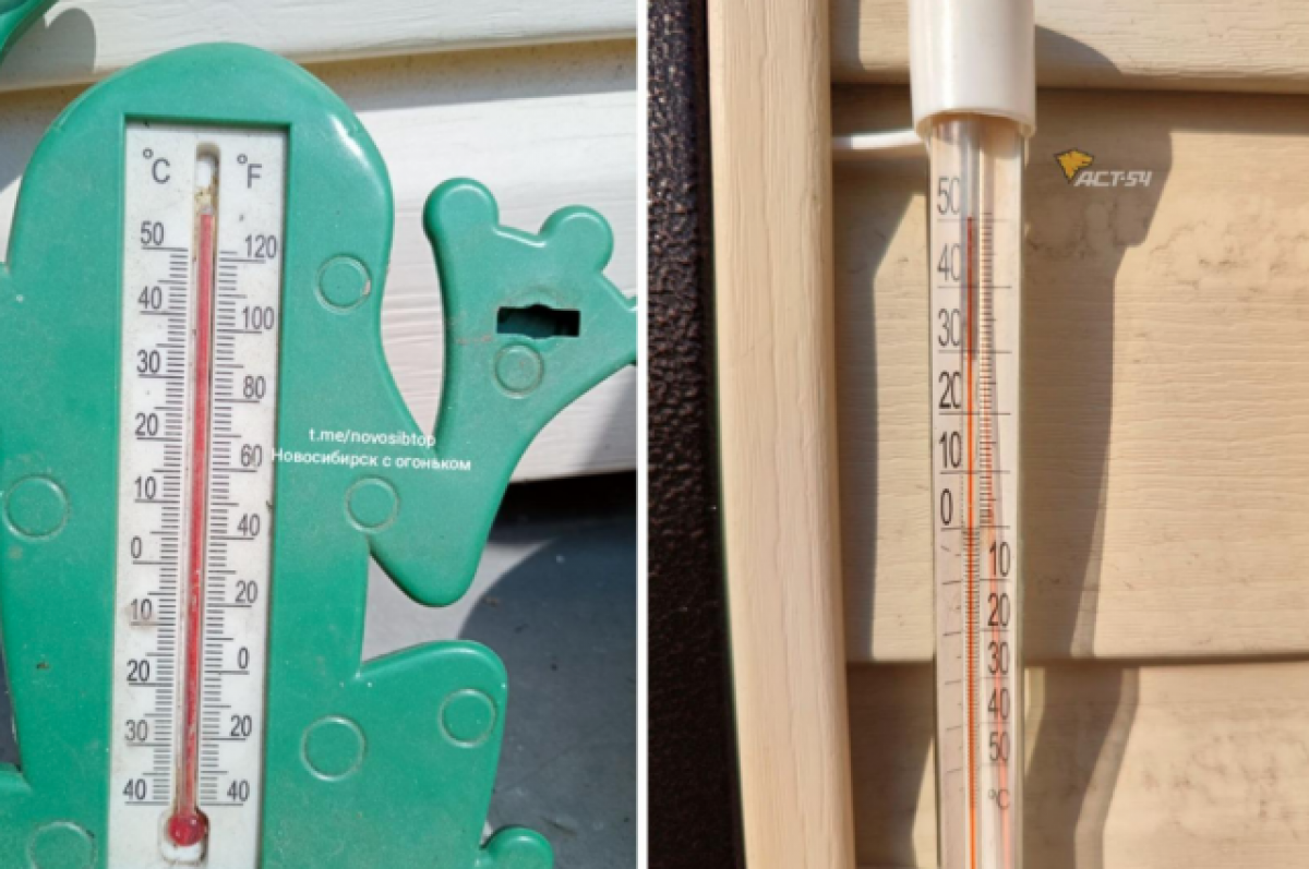 В Новосибирске домашние термометры показали выше +60 градусов | АиФ ...