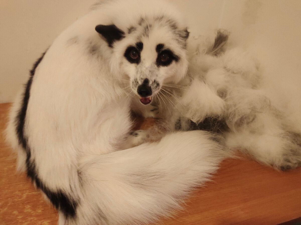 ты что, мстишь мне из-за каких-то туфлей?