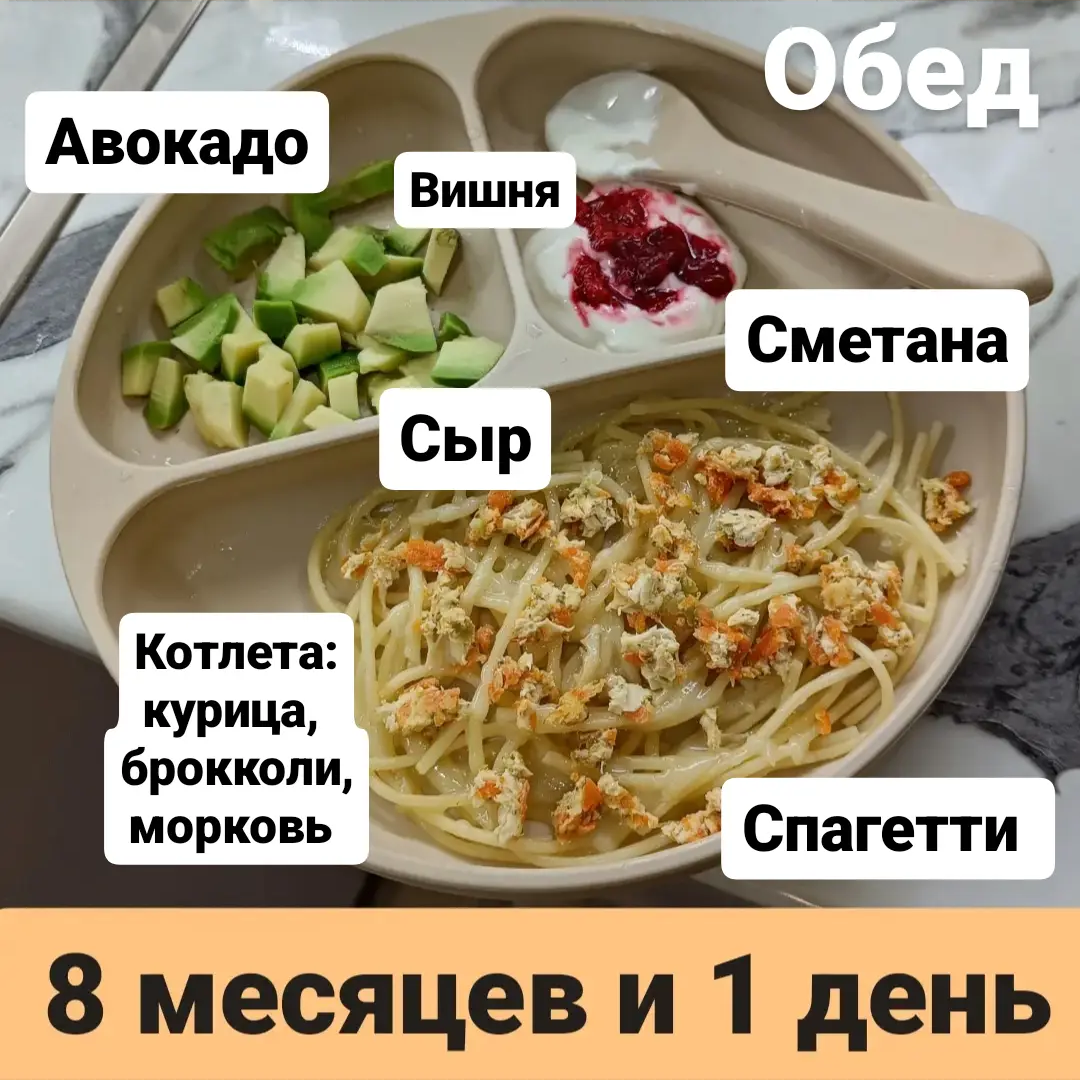 Пример тарелки в 8 месяцев 