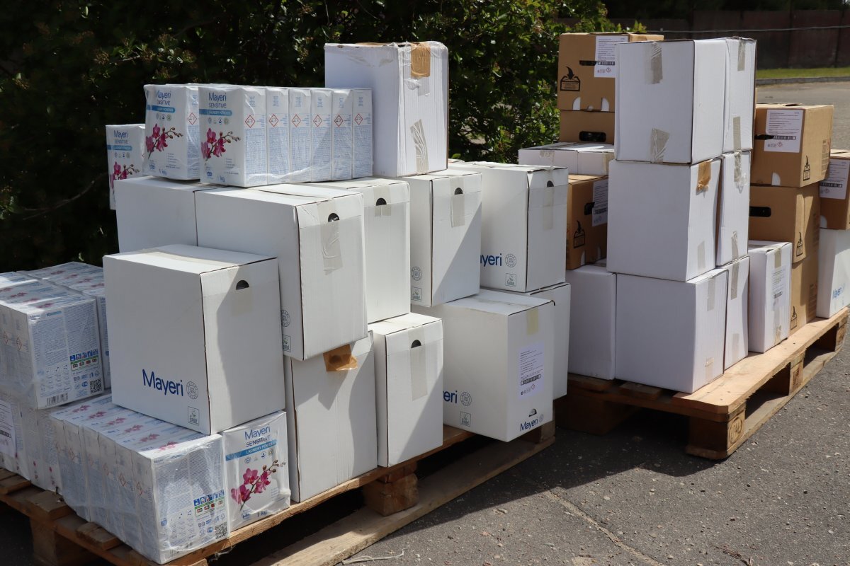    Псковские таможенники передали дому-интернату чистящие и моющие средства