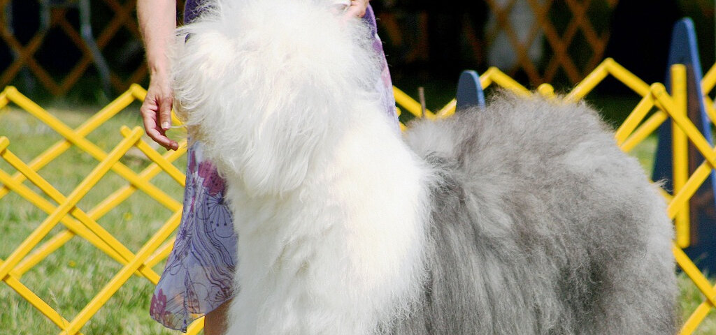 Фото с сайта https://pixabay.com/ru/