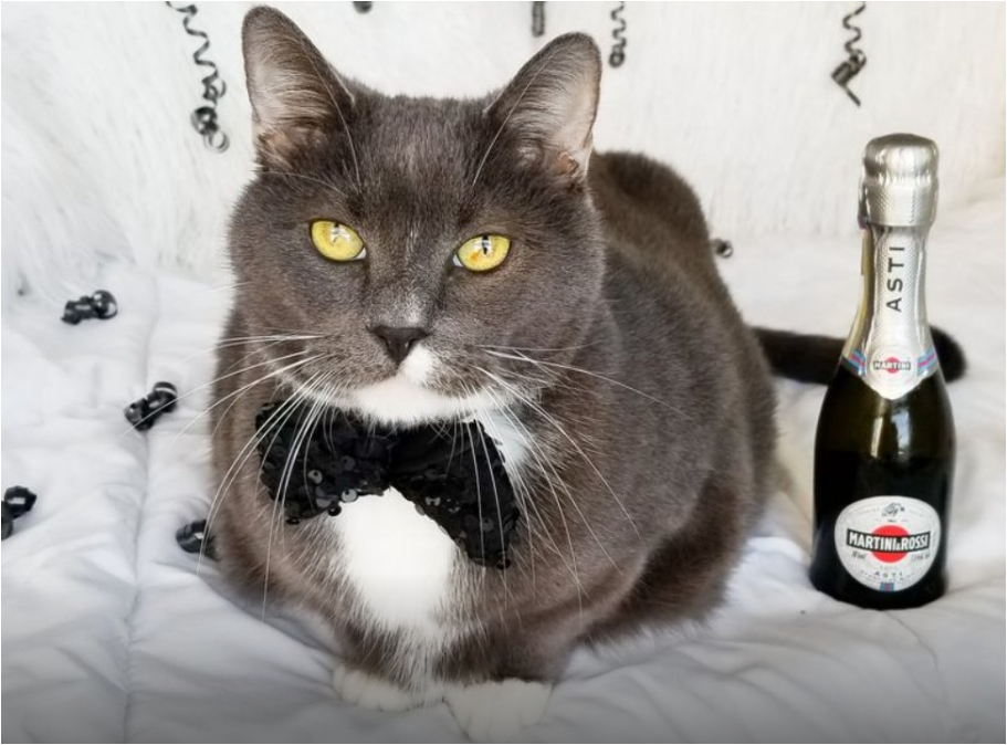 Источник: https://vcc.cfa.org/