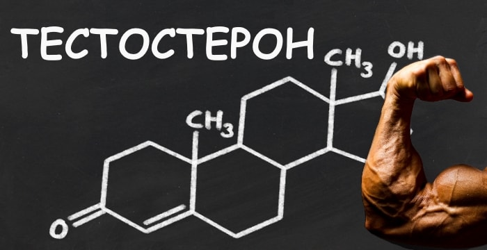 Тестостерон картинки для презентации