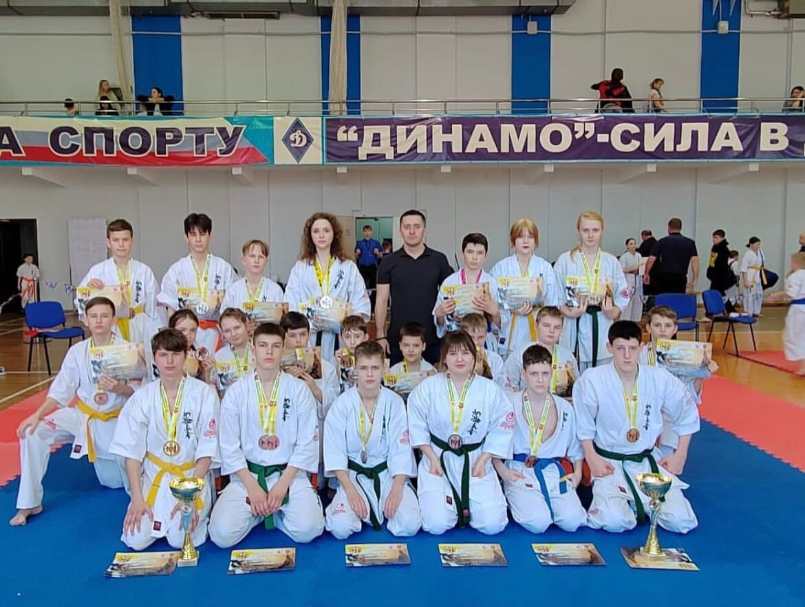 Каратэ киокусинкай проект