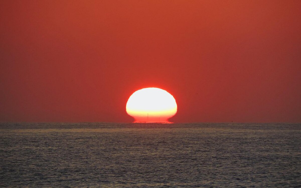    Unsplash