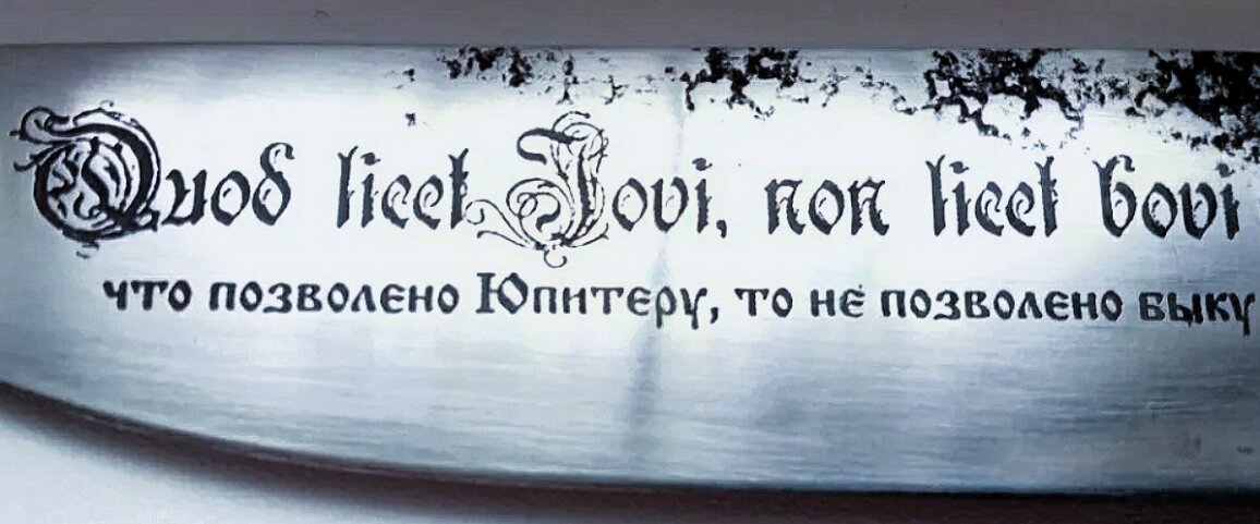 Яндекс картинки 